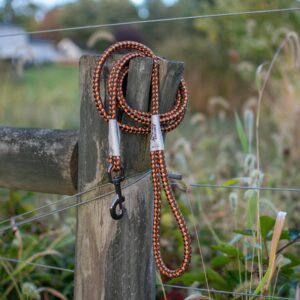 K9 Explorer  Reflective Braided Rope Snap Dog Leash