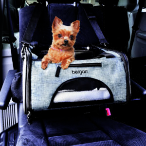 Bergan  Booster Pet Carrier