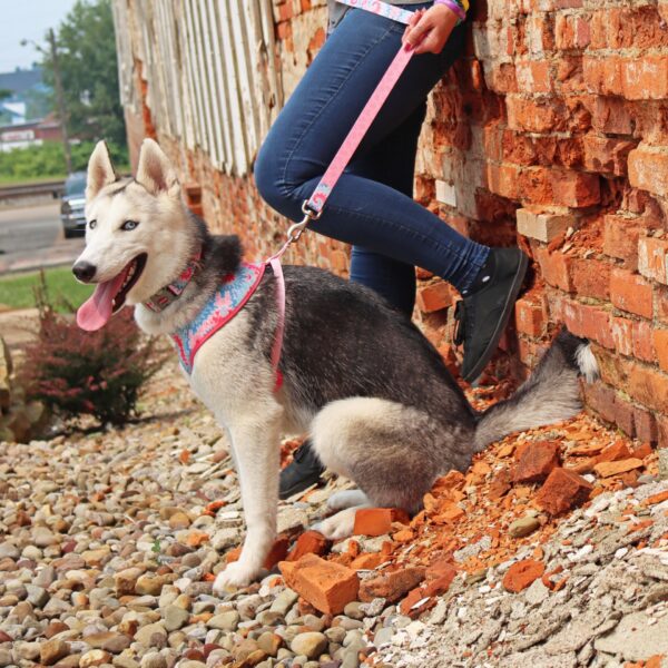 Sublime  Reversible Dog Harness