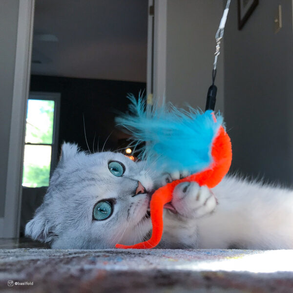 Turbo  Turbo Tail Telescoping Teaser Cat Toy