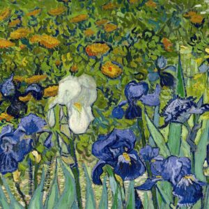 Design Toscano DA4731 24 1/4 Inch Irises 1889 Canvas Replica Painting - Small