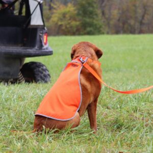 Water & Woods Reflective Dog Safety Vest