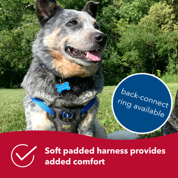 Walk Right!  Front-Connect No-Pull Padded Dog Harness