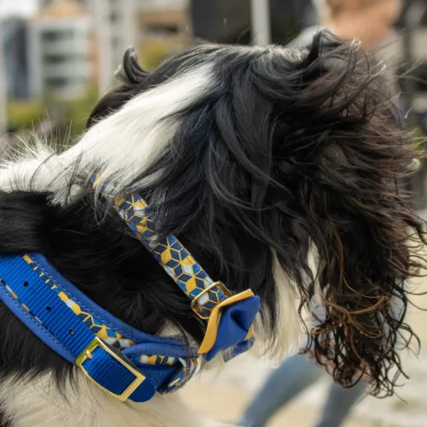 Accent Metallic Adjustable Dog Harness