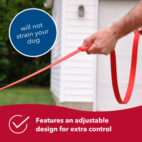 Insta-Grip  Control Handle Dog Leash