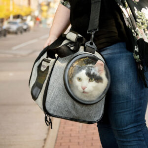 Bergan  Cat Carrier