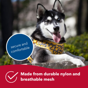 Ribbon Designer Wrap Adjustable Dog Harness