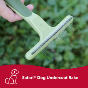 Safari  by Coastal  Dog Single Row Undercoat Rake