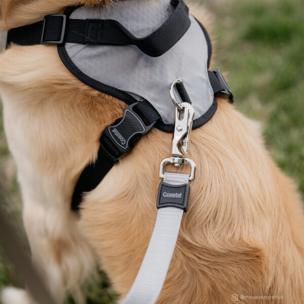 Inspire Adjustable Dog Harness with Handle