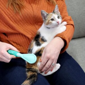 Lil Pals  Kitten Bristle Brush