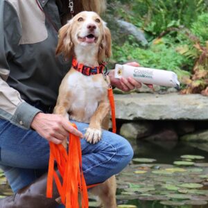 Water & Woods Canvas Dog Training Dummies