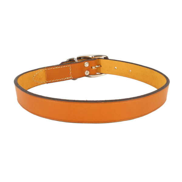 Circle T  Oak Tanned Leather Town Dog Collar