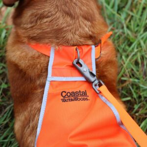 Water & Woods Reflective Dog Safety Vest