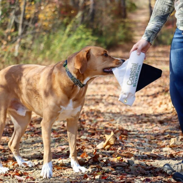 Water & Woods Canvas Winged Retriever Training Dummies