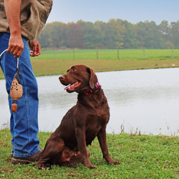 Water & Woods Tethered-Head Foam Fowl Dog Trainer