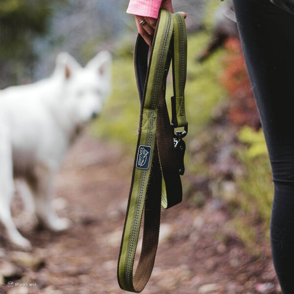 K9 Explorer  Reflective Dog Leash with Scissor Snap