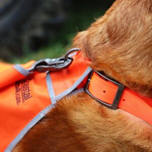 Water & Woods Reflective Dog Safety Vest