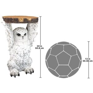 Design Toscano JQ10266 13 1/2 Inch Owl Table