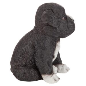 Design Toscano JQ111032 4 1/2 Inch Border Collie Puppy Partner Statue