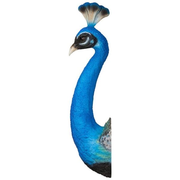 Design Toscano JQ11733 8 1/2 Inch Peacock Head Wall Sculpture