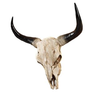 Design Toscano JQ2317 25 Inch Long Horn Steer Wall Trophy