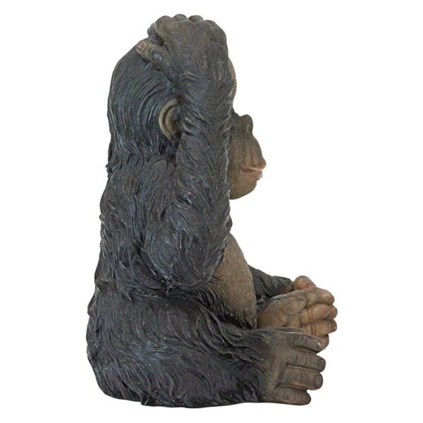 Design Toscano JQ3551 11 Inch Curly the Chimpanzee Statue