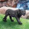 Design Toscano JQ4482 22 Inch Small Shadowed Predator Panther