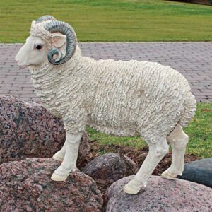 Design Toscano JQ6171 8 1/2 Inch Horned Dorset Sheep Statue