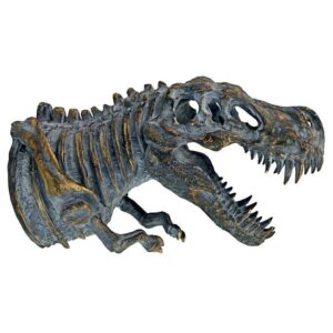 Design Toscano JQ9564 8 1/2 Inch Bones of the T Rex Wall Sculpture