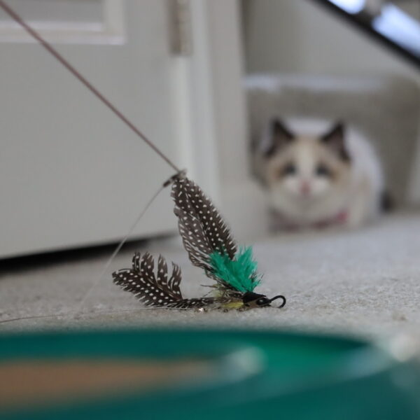 Turbo  Telescoping Flying Teaser Cat Toy