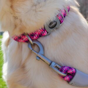 Pro  Active Adjustable Woven Reflective Dog Collar