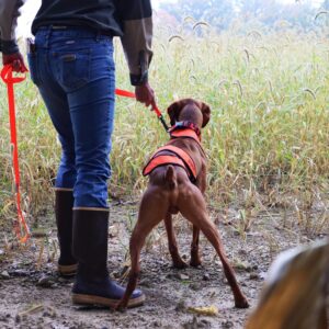 Water & Woods Dog Chest Protector