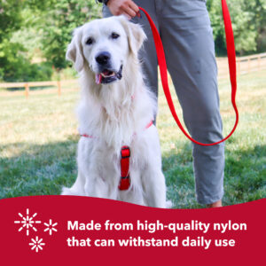 Coastal  Double-Ply Dog Leash