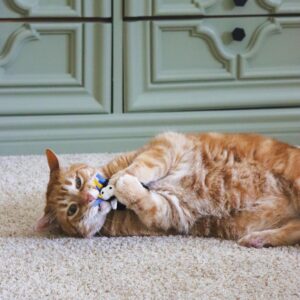 Turbo  by Coastal  Whimsy Cat Toy