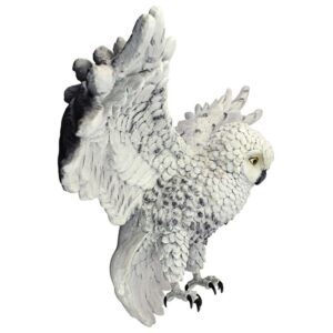 Design Toscano KY4090 31 Inch Large Mystical Spirit Owl Wall Sculpture