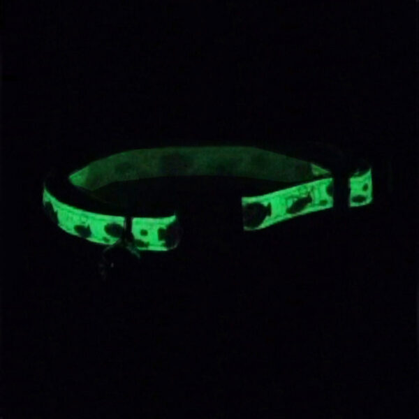 Safe Cat  Glow in the Dark Adjustable Breakaway Collar