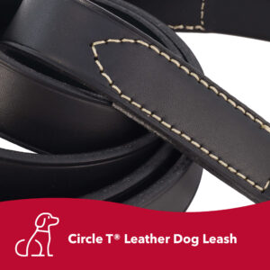 Circle T  Oak Tanned Leather Dog Leash