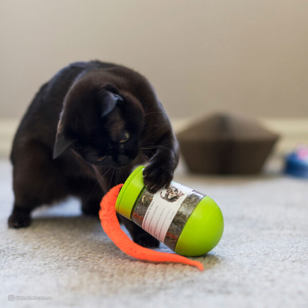 Turbo  Wobble Bottle