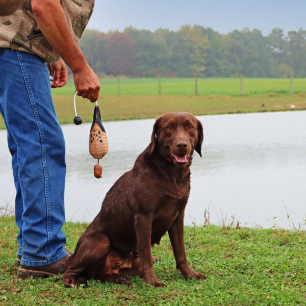 Water & Woods Tethered-Head Foam Fowl Dog Trainer