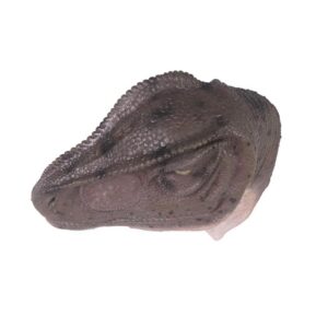 Design Toscano NE100014 23 Inch Allosaurus Wall Trophy Mouth Closed