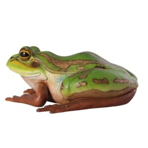 Design Toscano NE100017 32 1/2 Inch Pine Barrens Giant Tree Frog