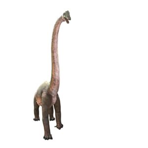 Design Toscano NE100055 215 1/2 Inch Brachiosaurus Looking Forward