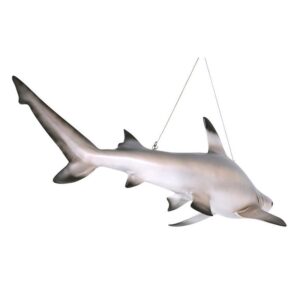 Design Toscano NE100074 45 1/2 Inch Black Tip Shark Ceiling Mount Trophy