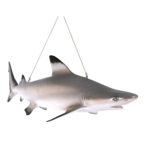 Design Toscano NE100074 45 1/2 Inch Black Tip Shark Ceiling Mount Trophy