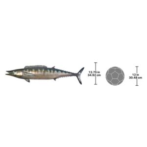 Design Toscano NE100090 59 Inch Wahoo Wall Trophy