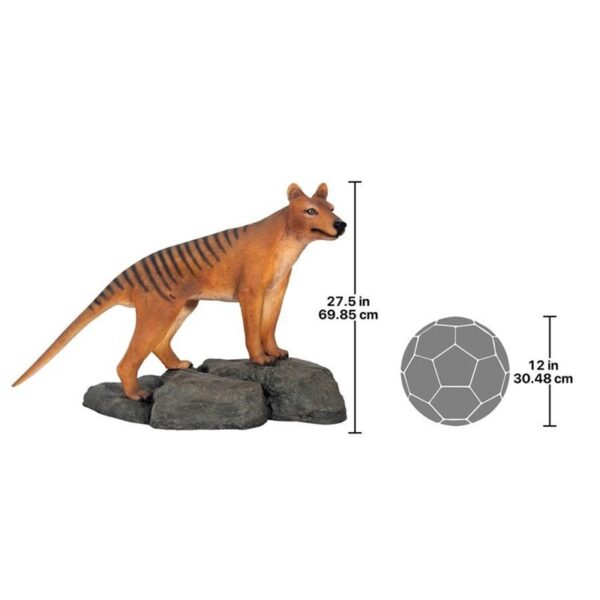 Design Toscano NE100101 40 1/2 Inch Mysterious Tasmanian Tiger Statue