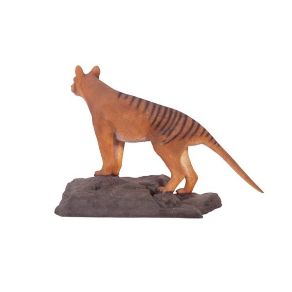 Design Toscano NE100101 40 1/2 Inch Mysterious Tasmanian Tiger Statue