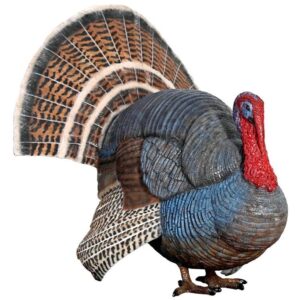 Design Toscano NE100126 24 1/2 Inch Wild Tom Turkey Statue