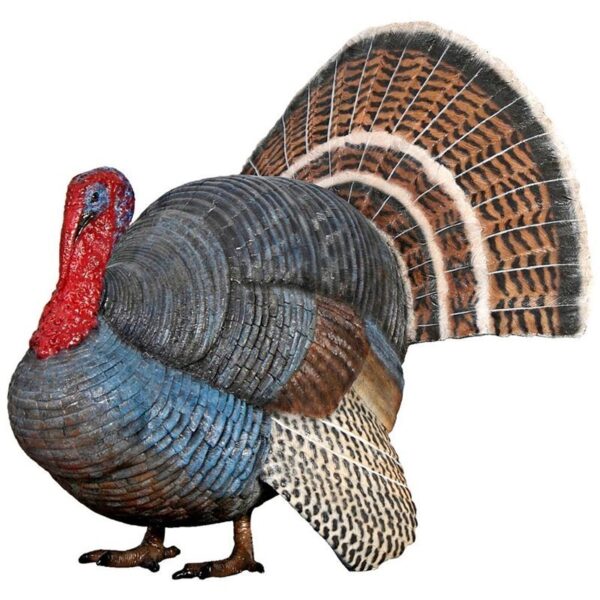 Design Toscano NE100126 24 1/2 Inch Wild Tom Turkey Statue