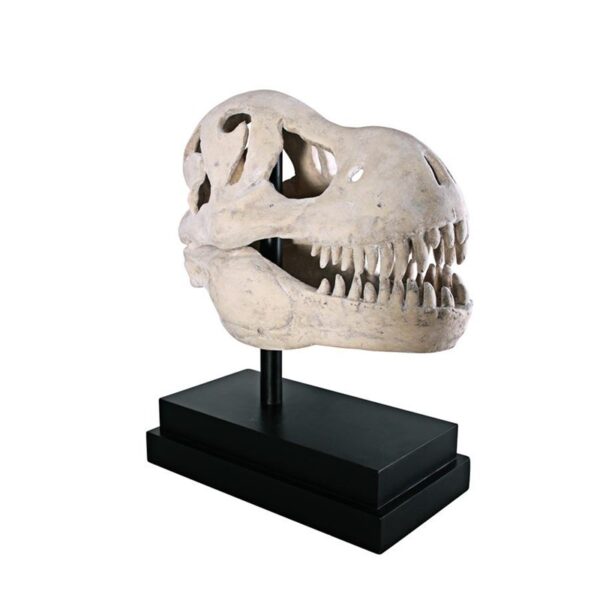 Design Toscano NE100502 10 Inch T-Rex Dinosaur Skull on Mount